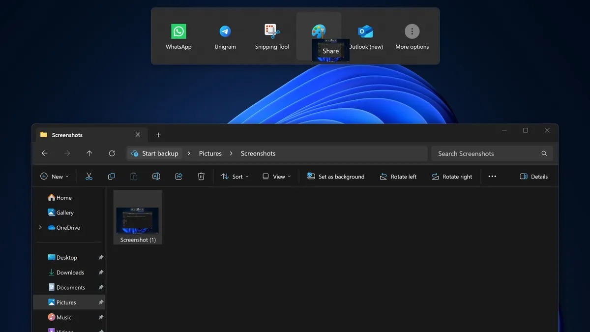 Windows 11