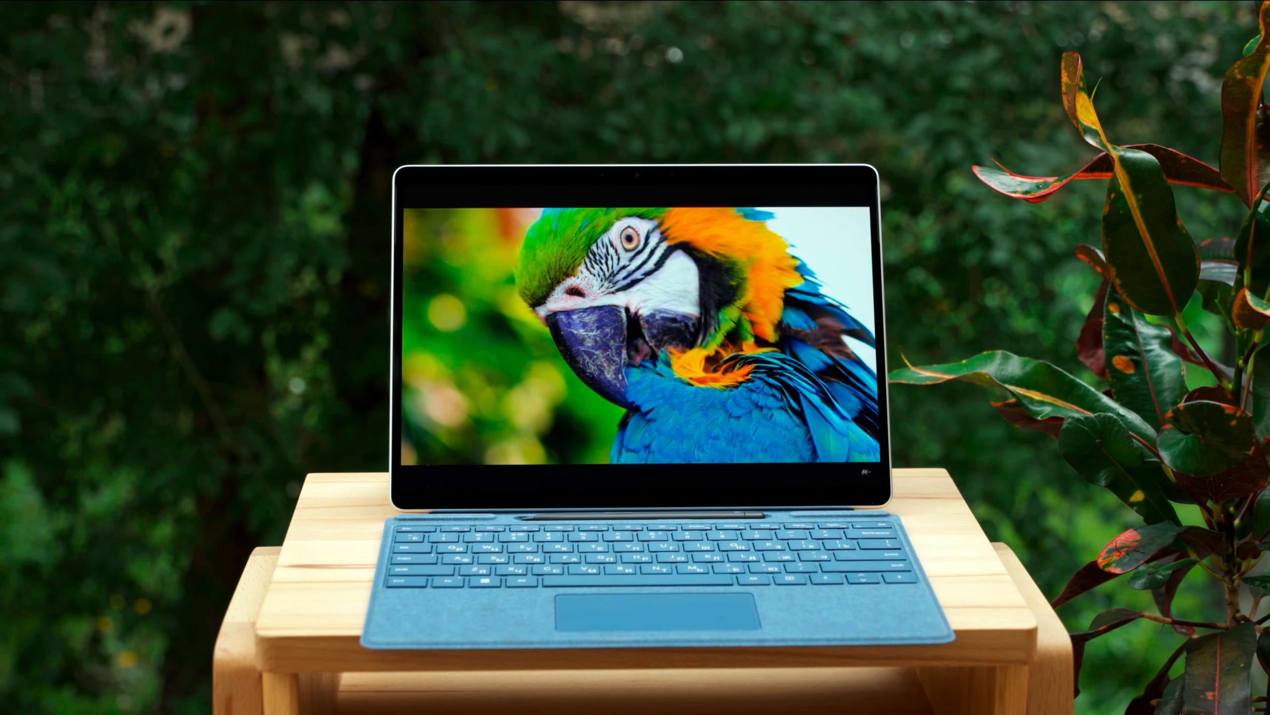 Surface Pro