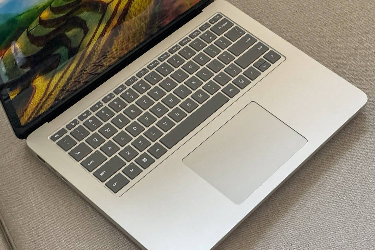 Surface 