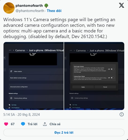 Windows 11