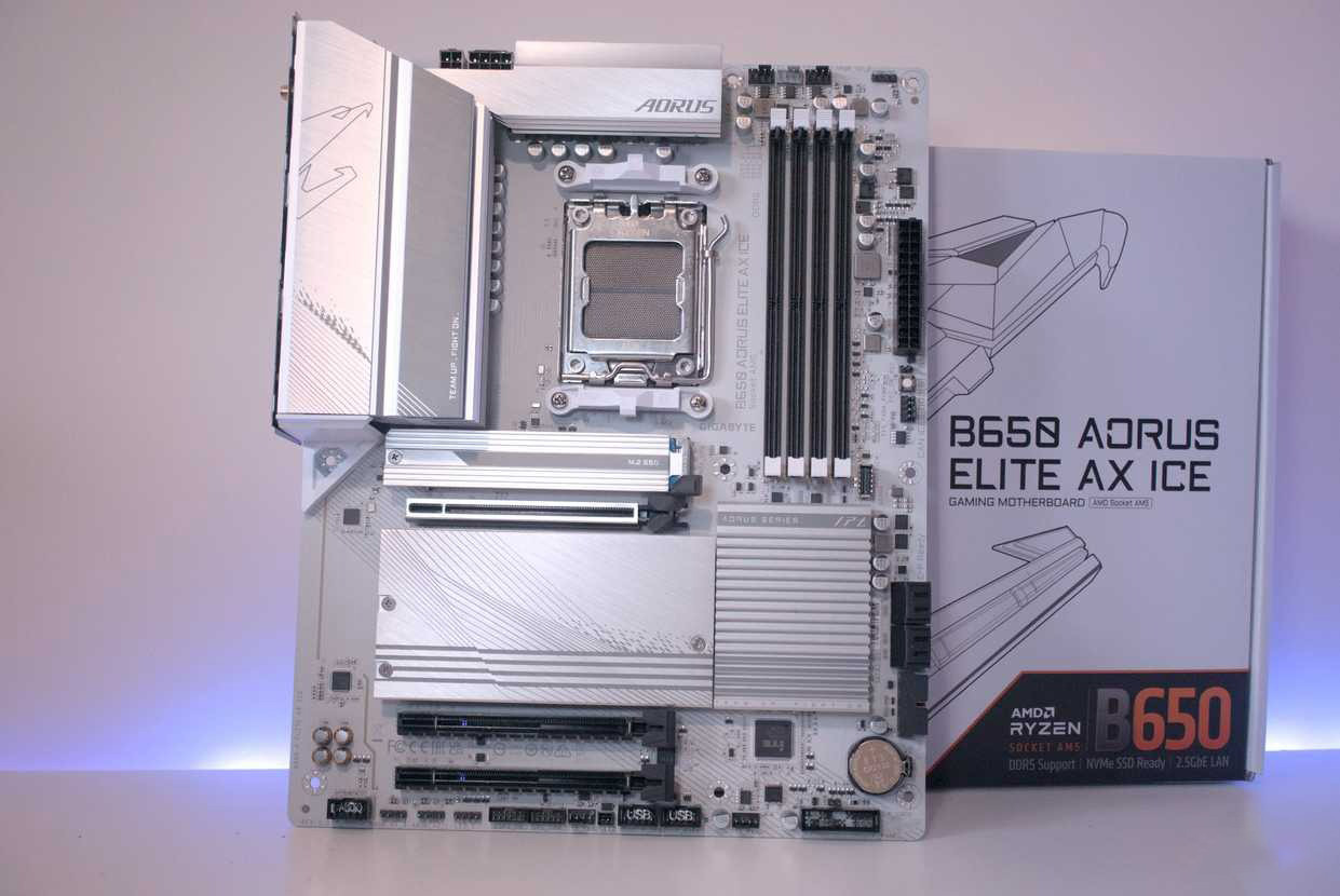 AMD